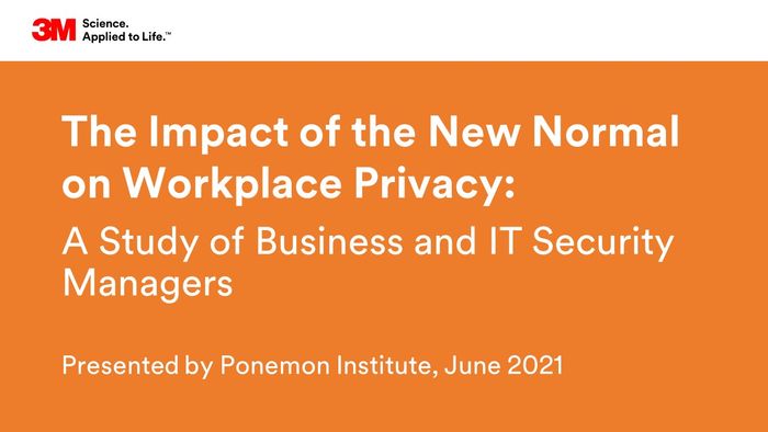 The Impact of the New Normal on Workplace Privacy: A Study of Business and IT Security Managers